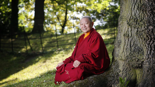 Le premier tour de la roue du Dharma—Les Quatre Vérités des Nobles