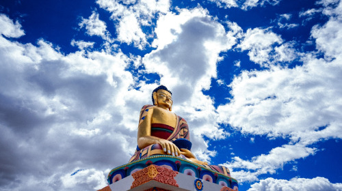 Nous avons tous la nature de bouddha.