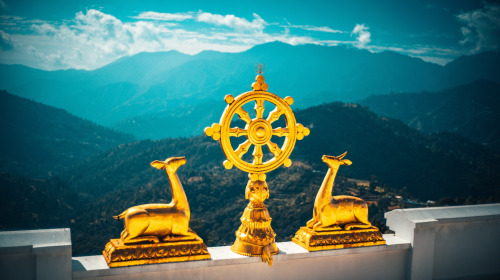 N'ayez aucune patience envers le samsara