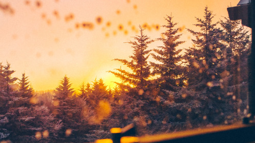 Devenir un meilleur être humain pour soi-même et le monde