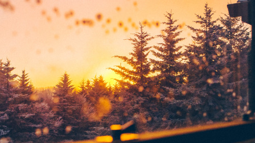 Le bonheur réside en soi