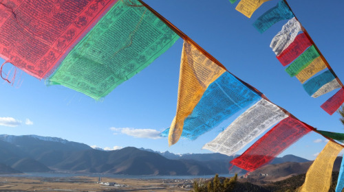 Il n'y a pas de Dharma au-delà de notre propre esprit