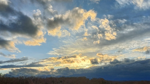 Les Quatre Sceaux qui englobent la Vue bouddhiste fondamentale
