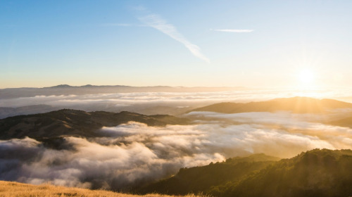 Comprendre l'esprit pour se comprendre soi-même