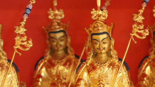 Des nouvelles du Conseil de Vision de Rigpa